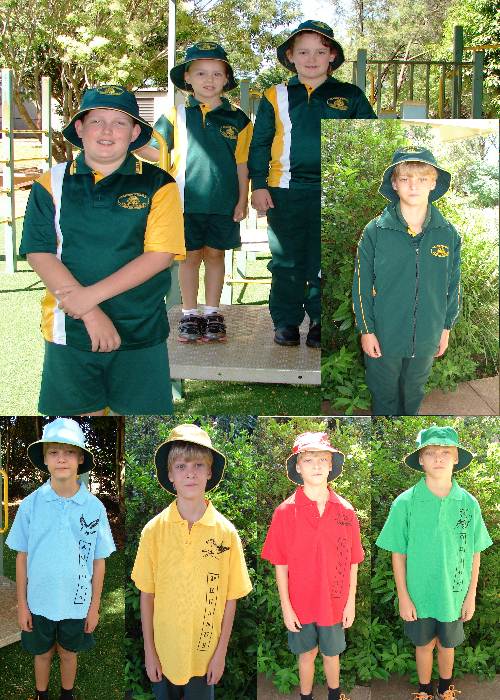 Summer, Winter and sport carnival uniforms